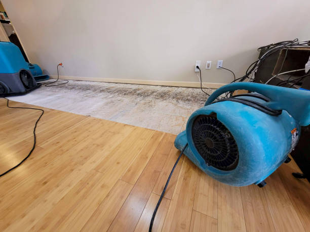 Professional Flood Damage Cleanup technician working in Murray, NE